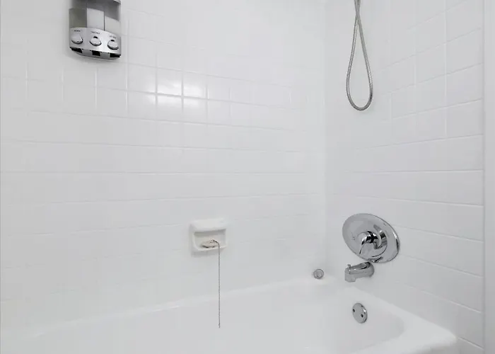 Waterfront & Pet Friendly Boat Dock Walk 2